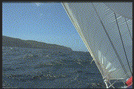 Segeln pur